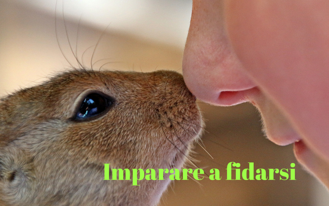 Imparare a fidarsi: workshop PNL a Mestre