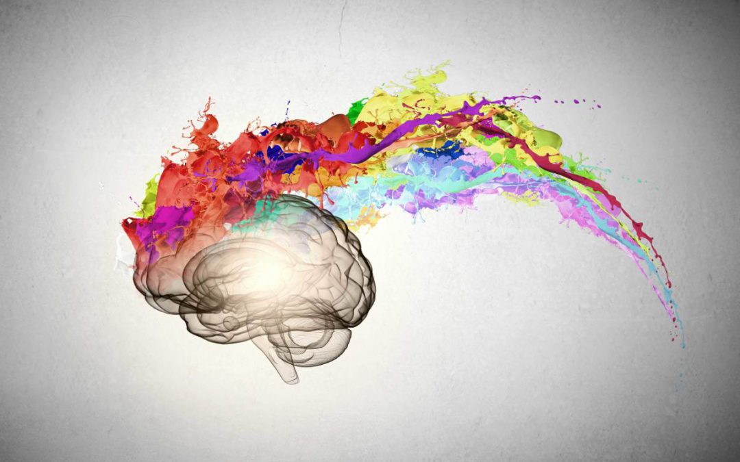 Estetica e Neuroscienze: quali legami tra attività neurale, fashion e design?