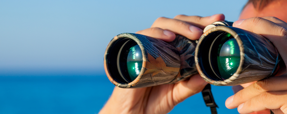 Binocolo: la vision Binocolo: la vision