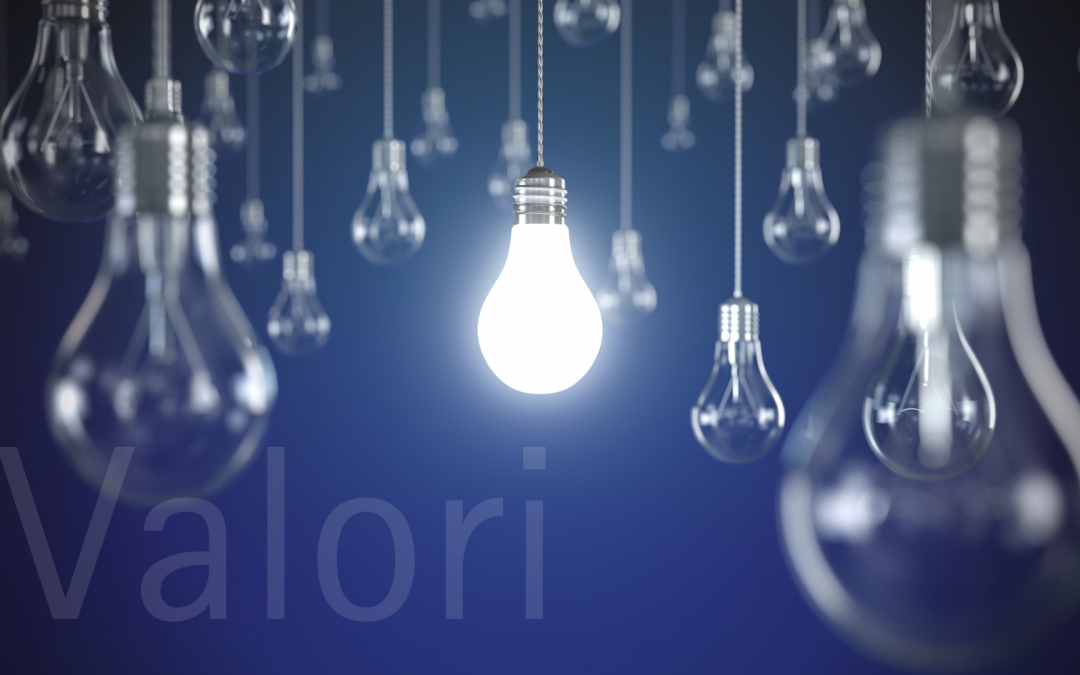Valori, gli asset invisibili più importanti | webinar gratuito