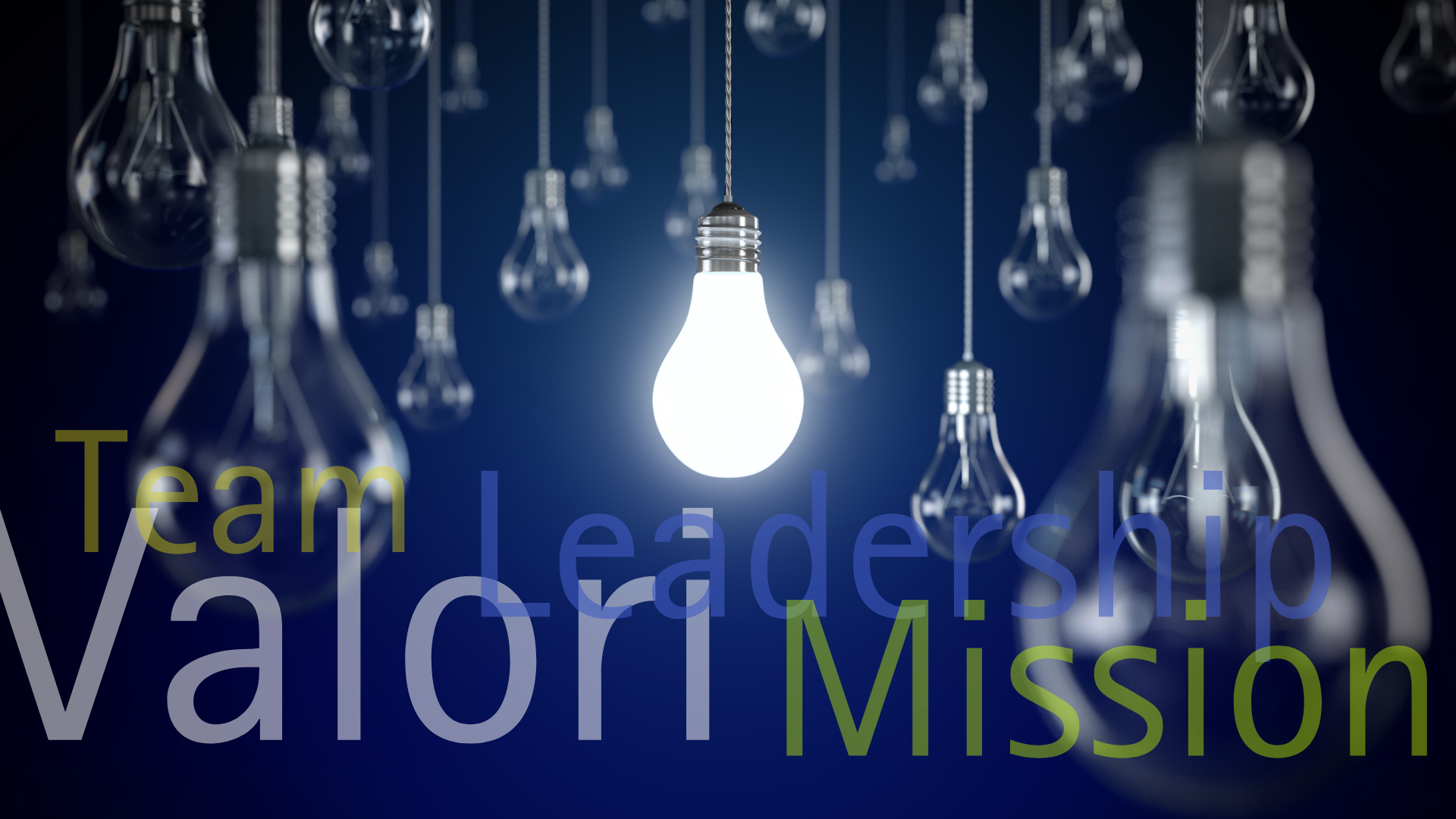 Valori, Leadership, Mission: percorso formativo