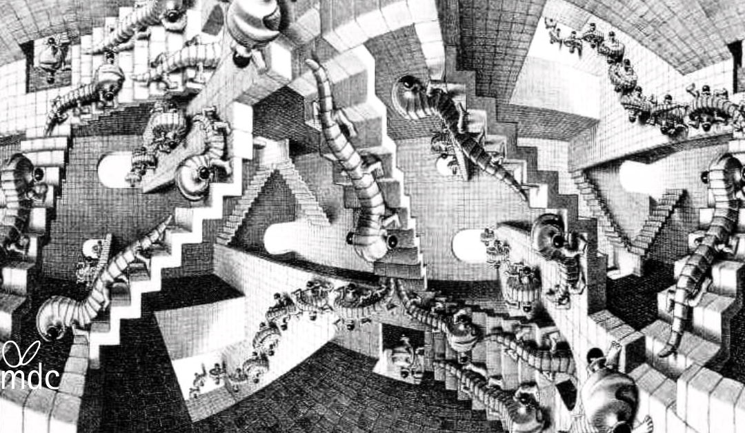 Prendere decisioni fra caos e complessità: il modello Cynefin