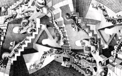 Prendere decisioni fra caos e complessità: il modello Cynefin