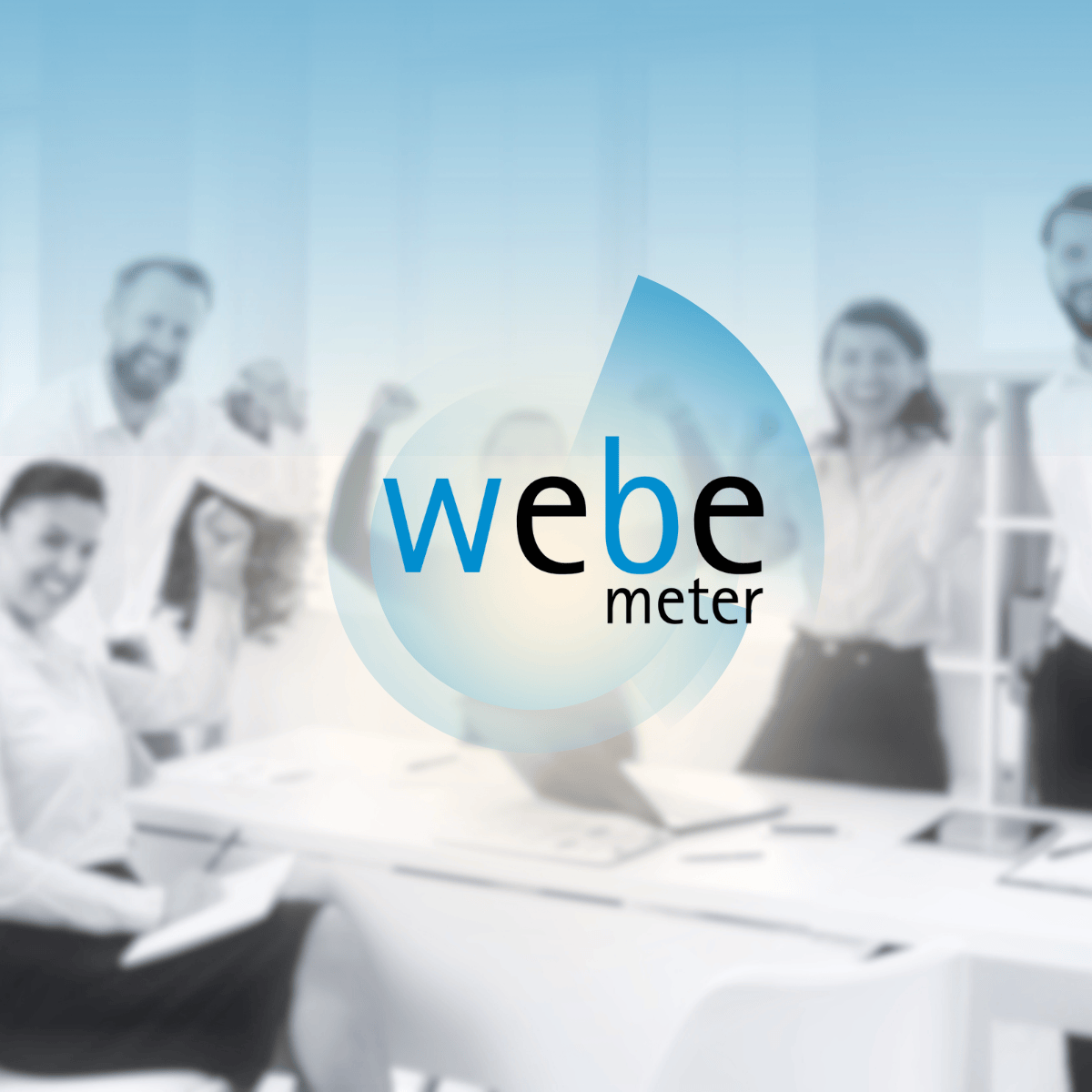 WeBe meter
