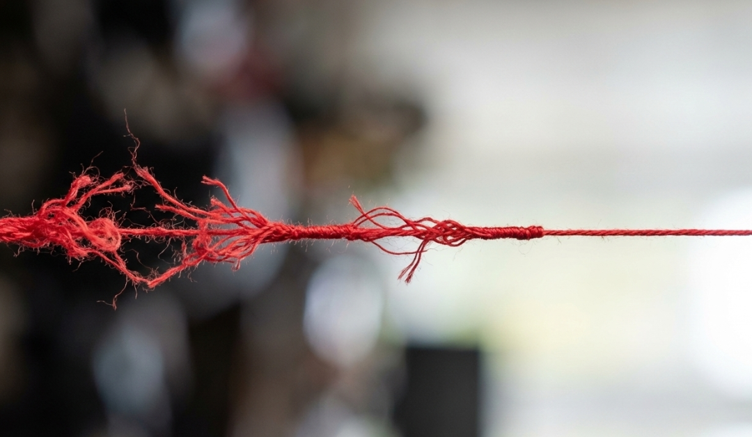 Il filo rosso del senso